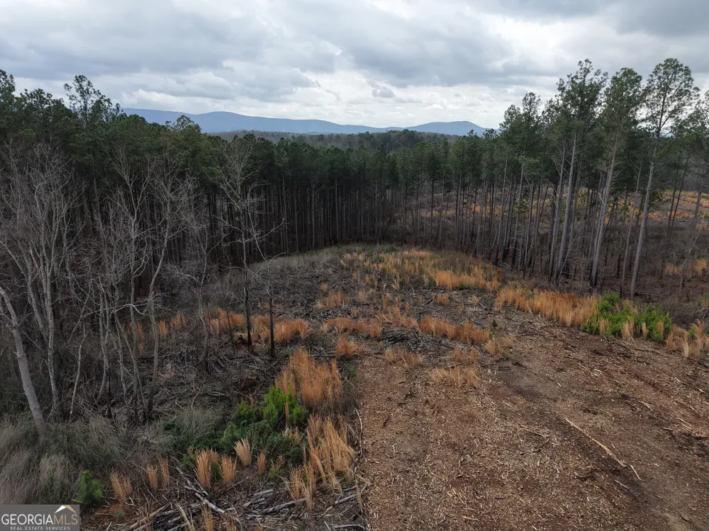 0 Johnson Mountain RD Rydal, GA 30171