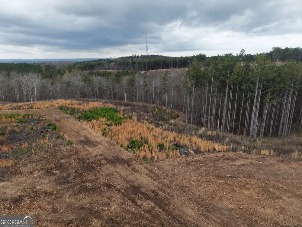 0 Johnson Mountain RD Rydal, GA 30171