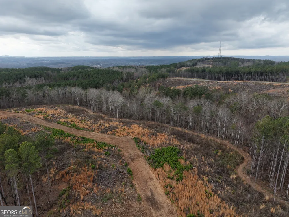 0 Johnson Mountain RD Rydal, GA 30171