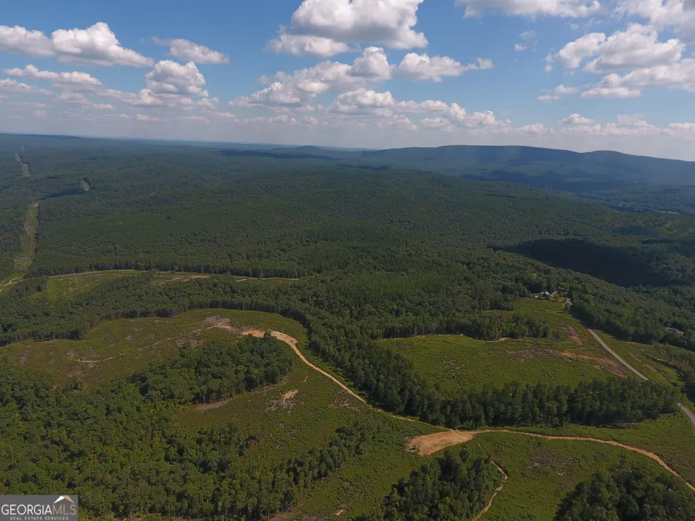 0 Johnson Mountain RD Rydal, GA 30171