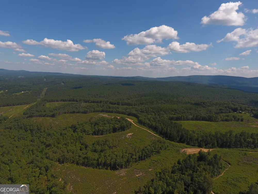 0 Johnson Mountain RD Rydal, GA 30171