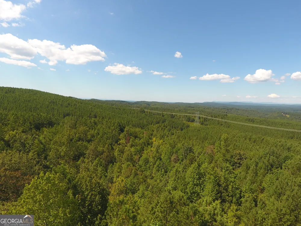 0 Johnson Mountain RD Rydal, GA 30171