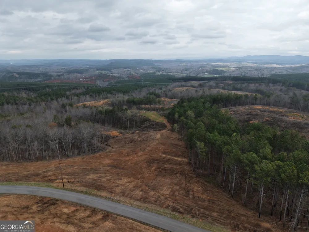 0 Johnson Mountain RD Rydal, GA 30171