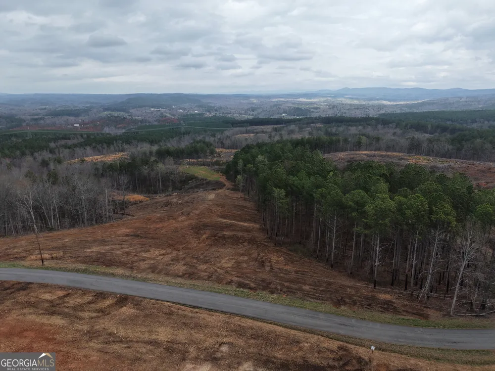 0 Johnson Mountain RD Rydal, GA 30171