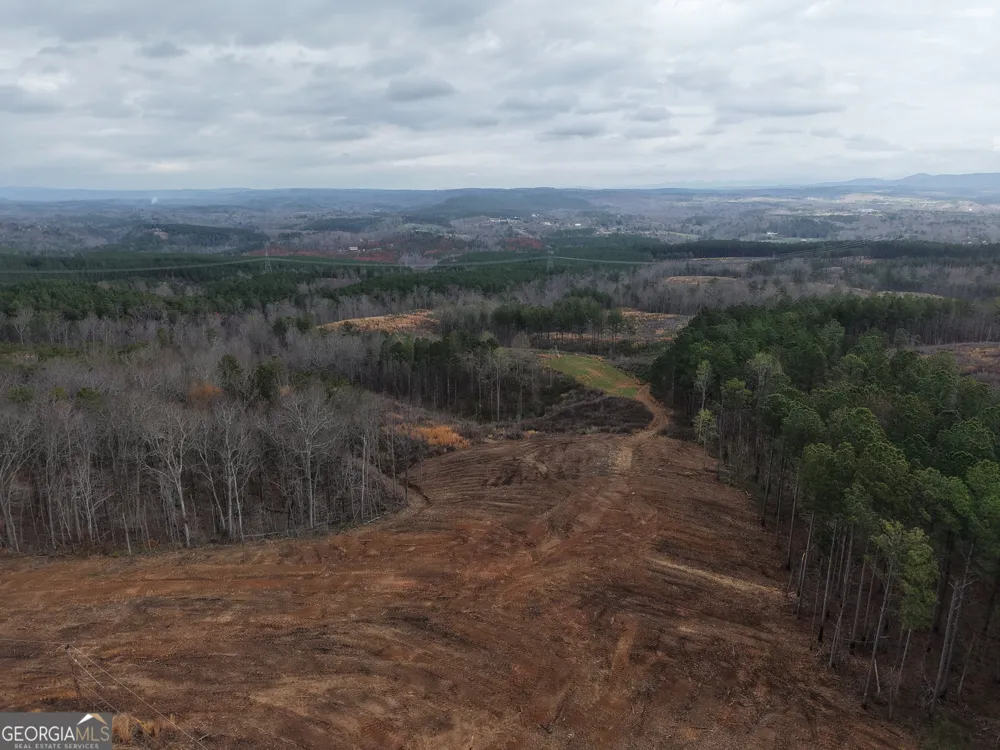 0 Johnson Mountain RD Rydal, GA 30171