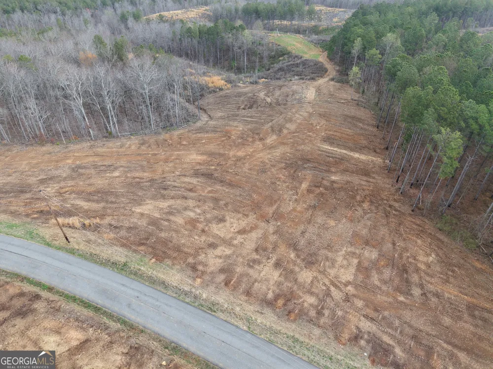 0 Johnson Mountain RD Rydal, GA 30171