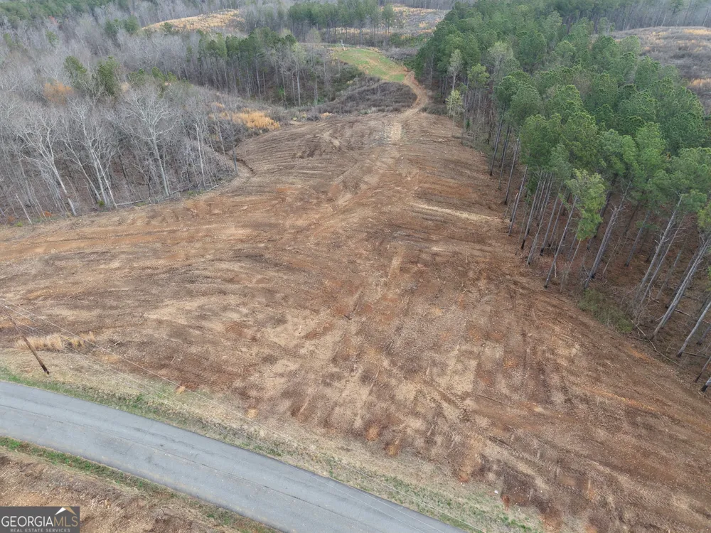 0 Johnson Mountain RD Rydal, GA 30171