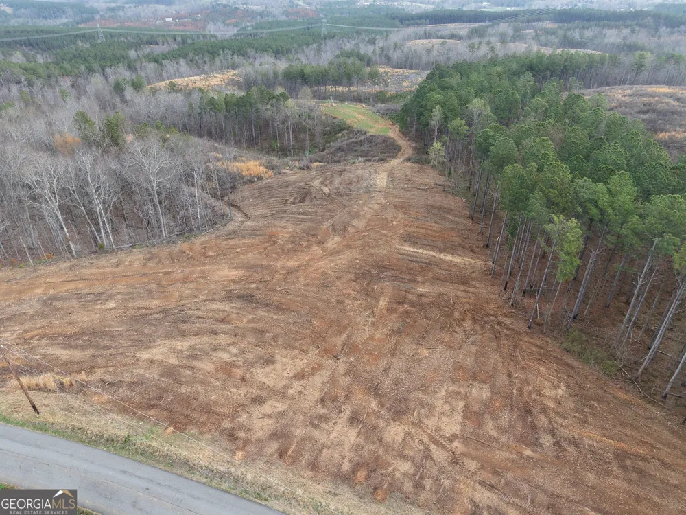 0 Johnson Mountain RD Rydal, GA 30171