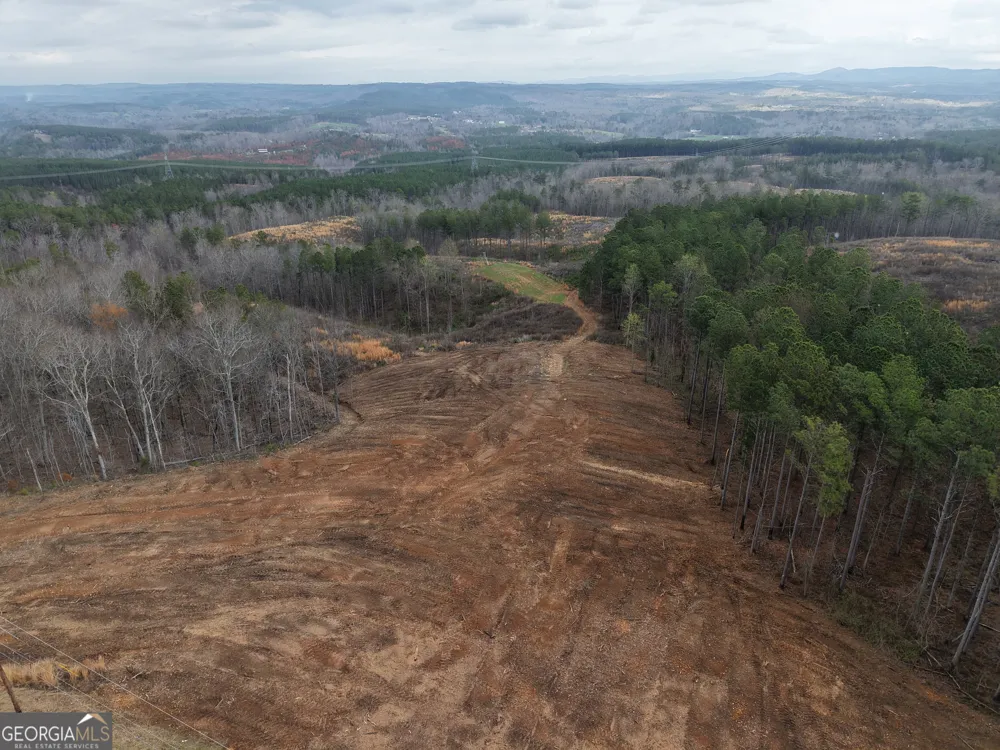 0 Johnson Mountain RD Rydal, GA 30171