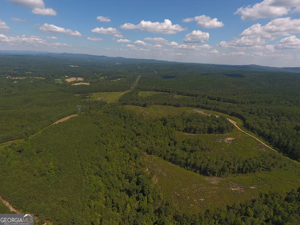 0 Johnson Mountain RD Rydal, GA 30171