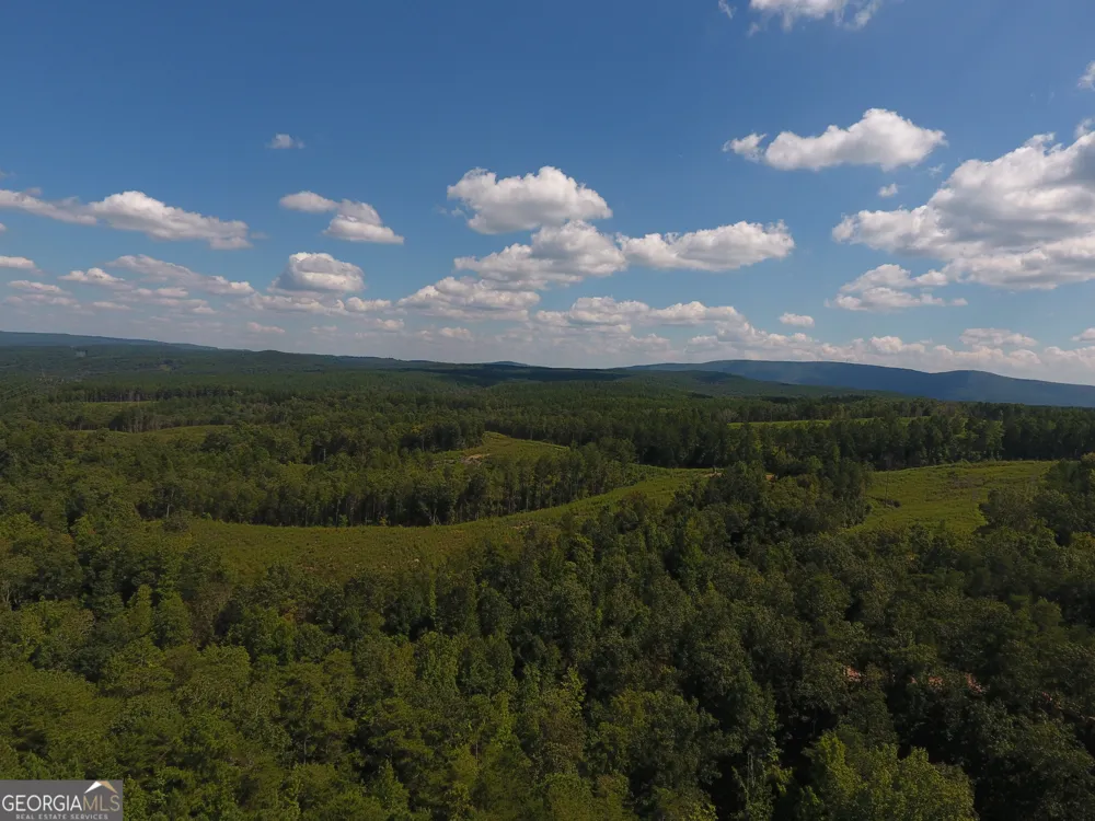 0 Johnson Mountain RD Rydal, GA 30171