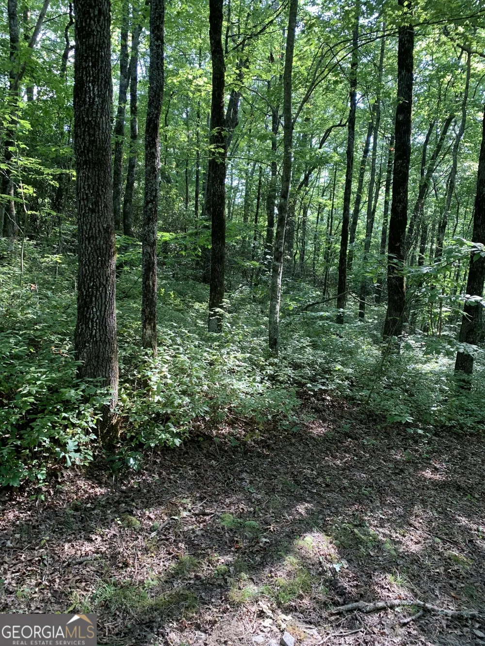 0 Maple Leaf DR Dillard, GA 30537