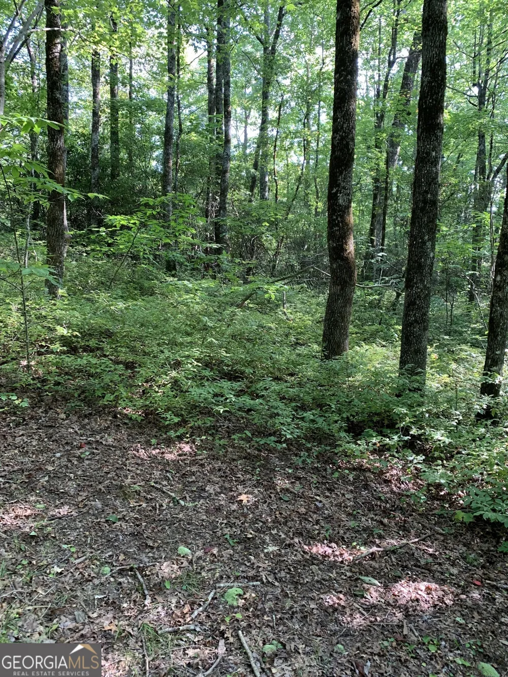 0 Maple Leaf DR Dillard, GA 30537