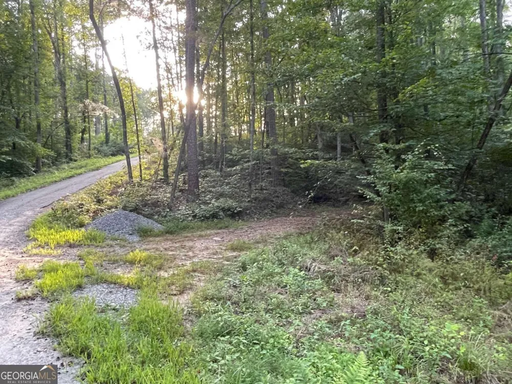 201 Black Bear TRCE Dawsonville, GA 30534
