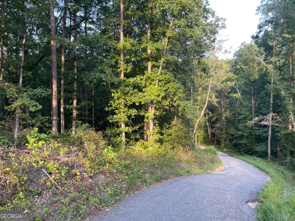 201 Black Bear TRCE Dawsonville, GA 30534