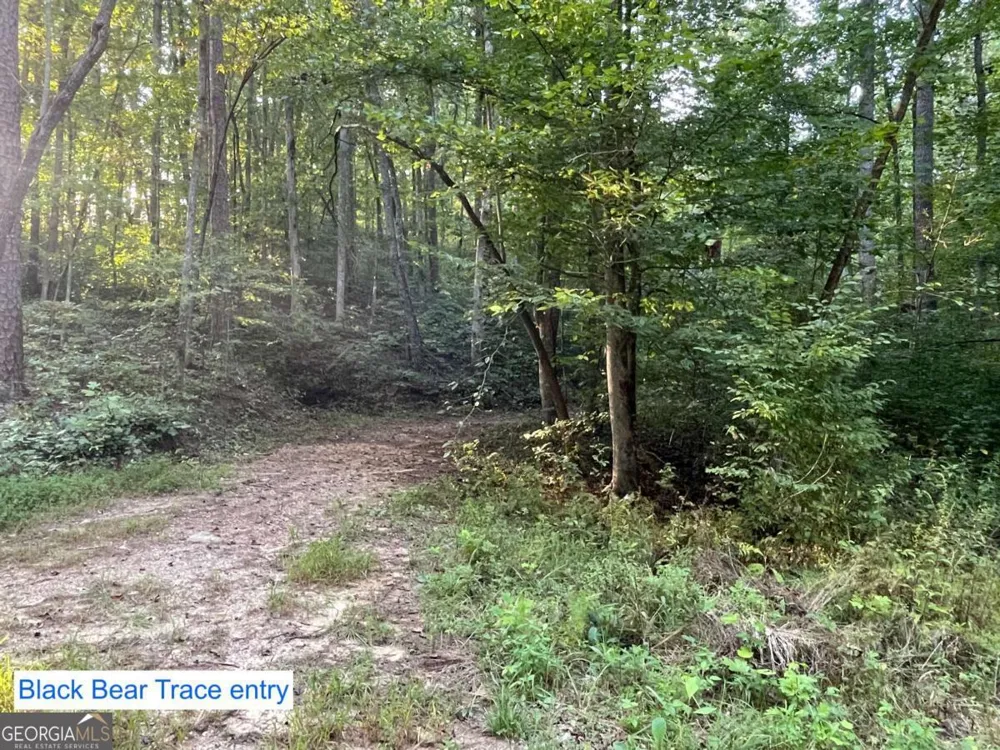 201 Black Bear TRCE Dawsonville, GA 30534