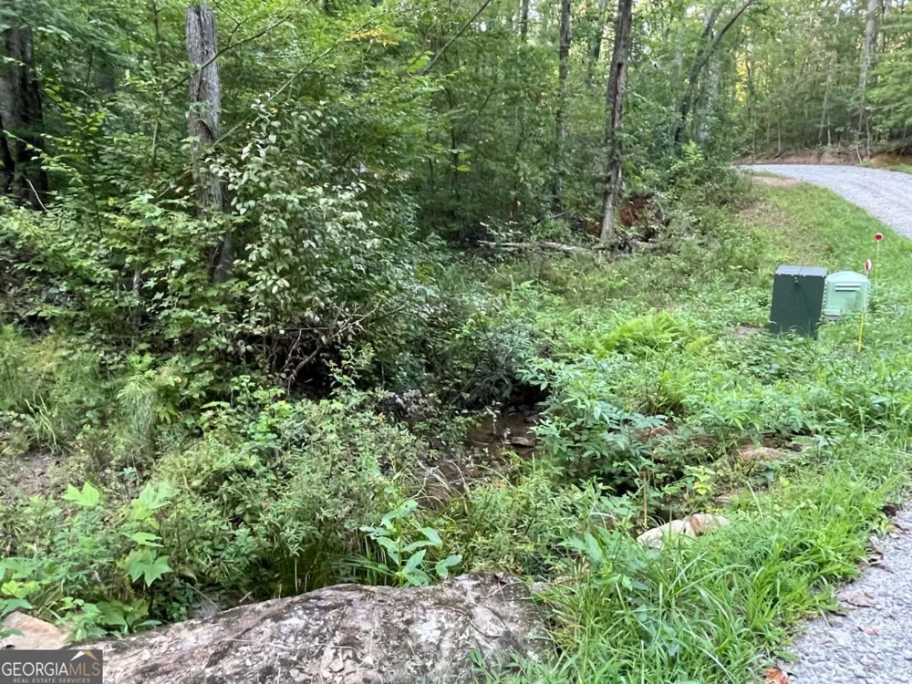 201 Black Bear TRCE Dawsonville, GA 30534