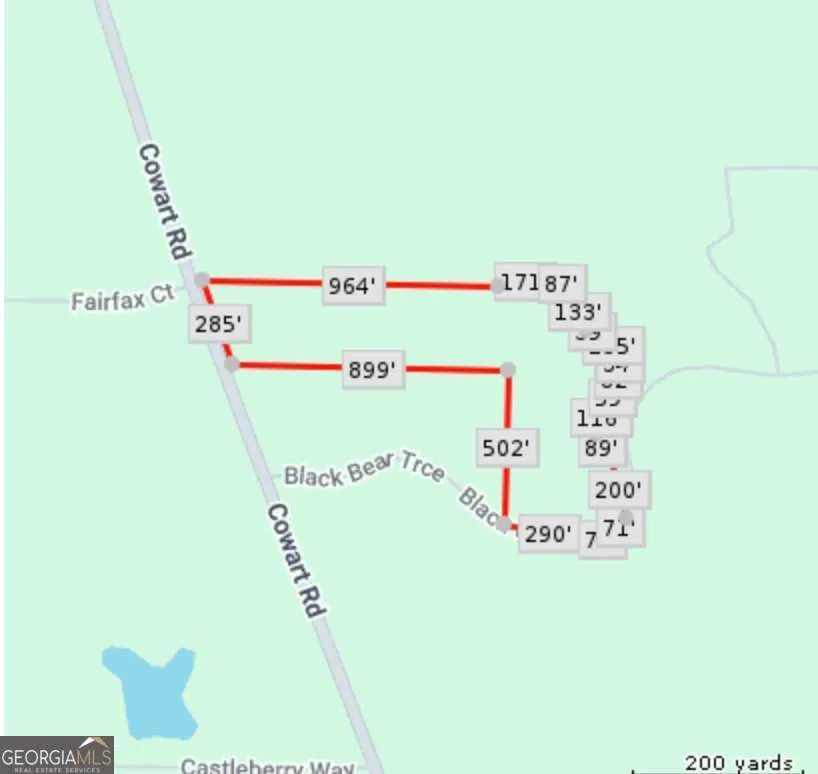 201 Black Bear TRCE Dawsonville, GA 30534