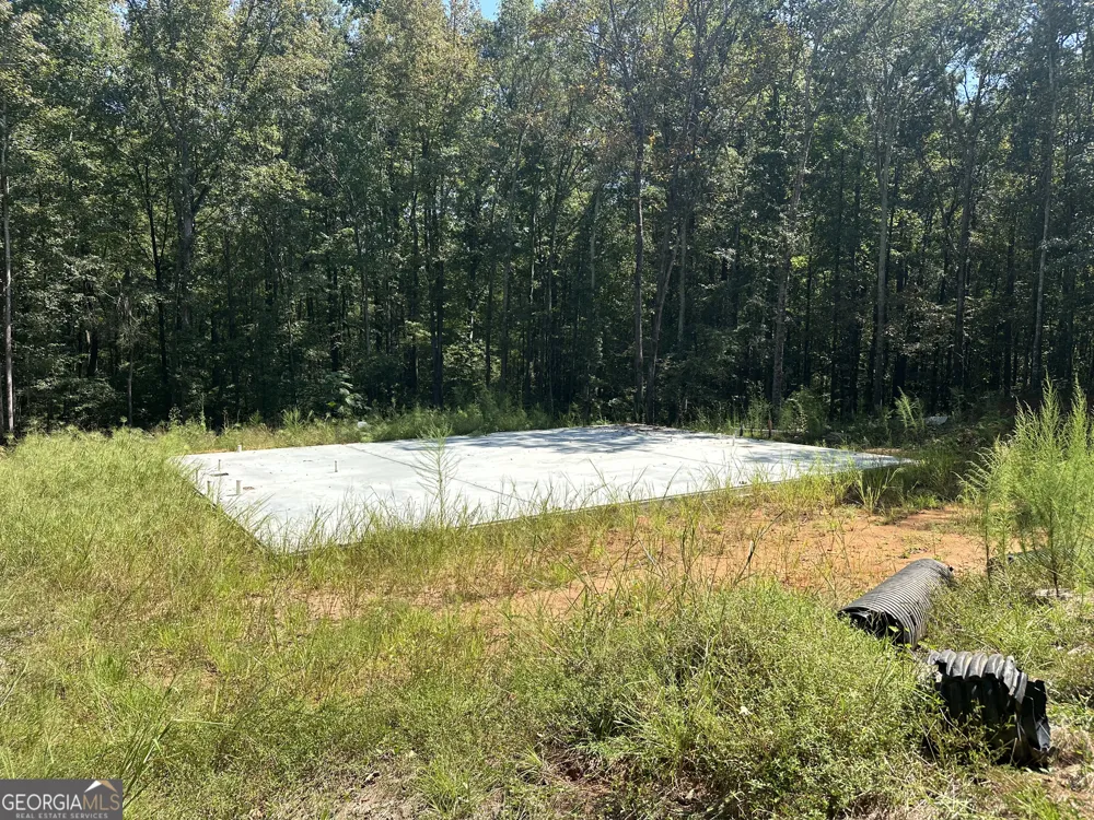 46 Creek RDG Winterville, GA 30683