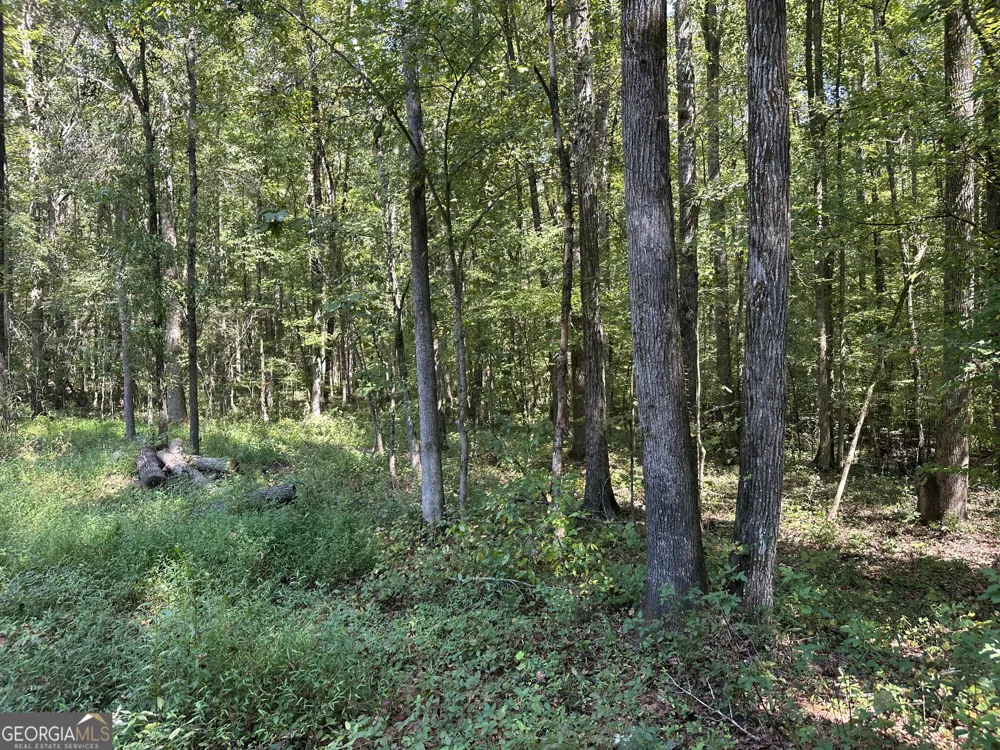 46 Creek RDG Winterville, GA 30683