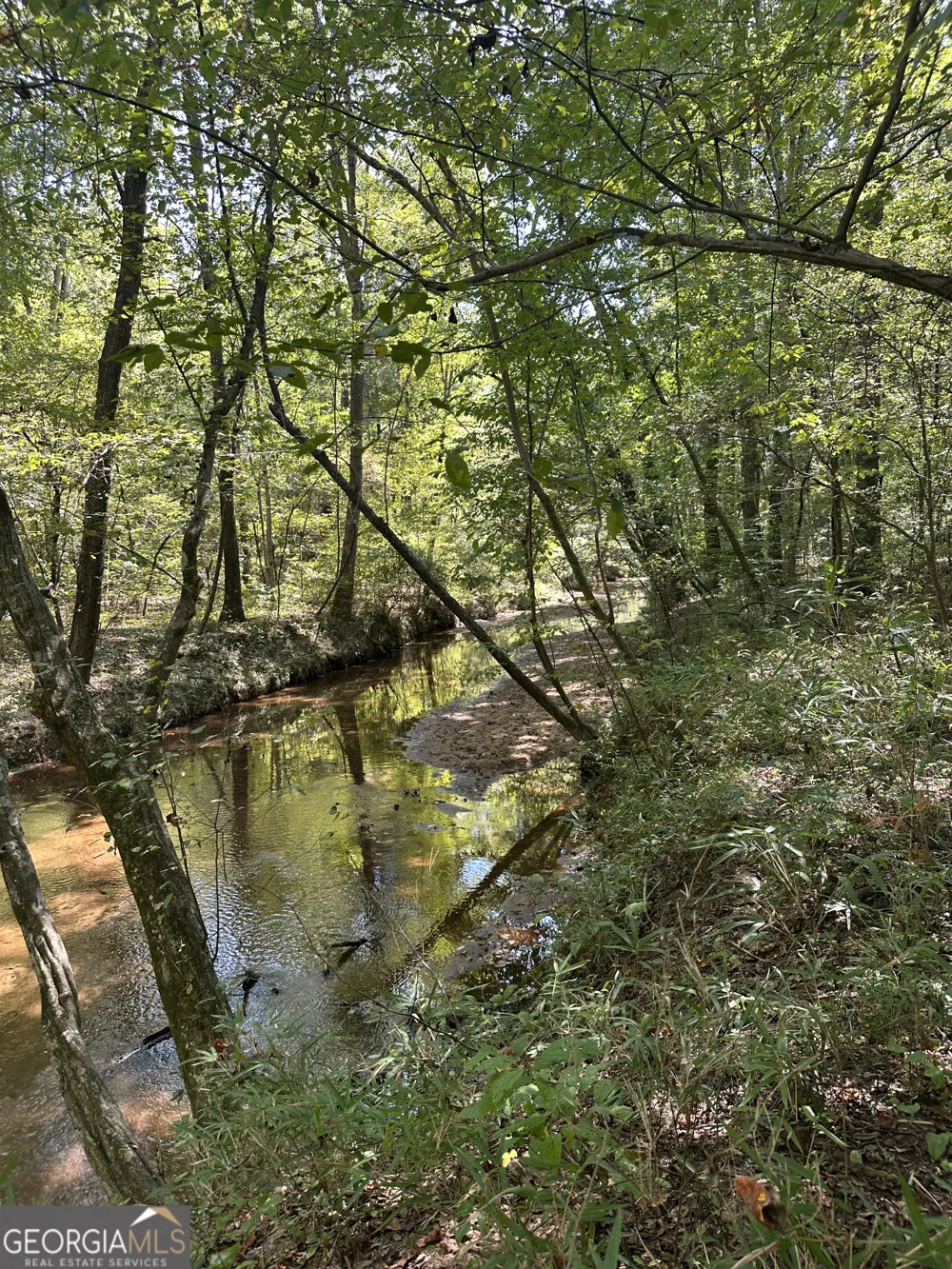 46 Creek RDG Winterville, GA 30683