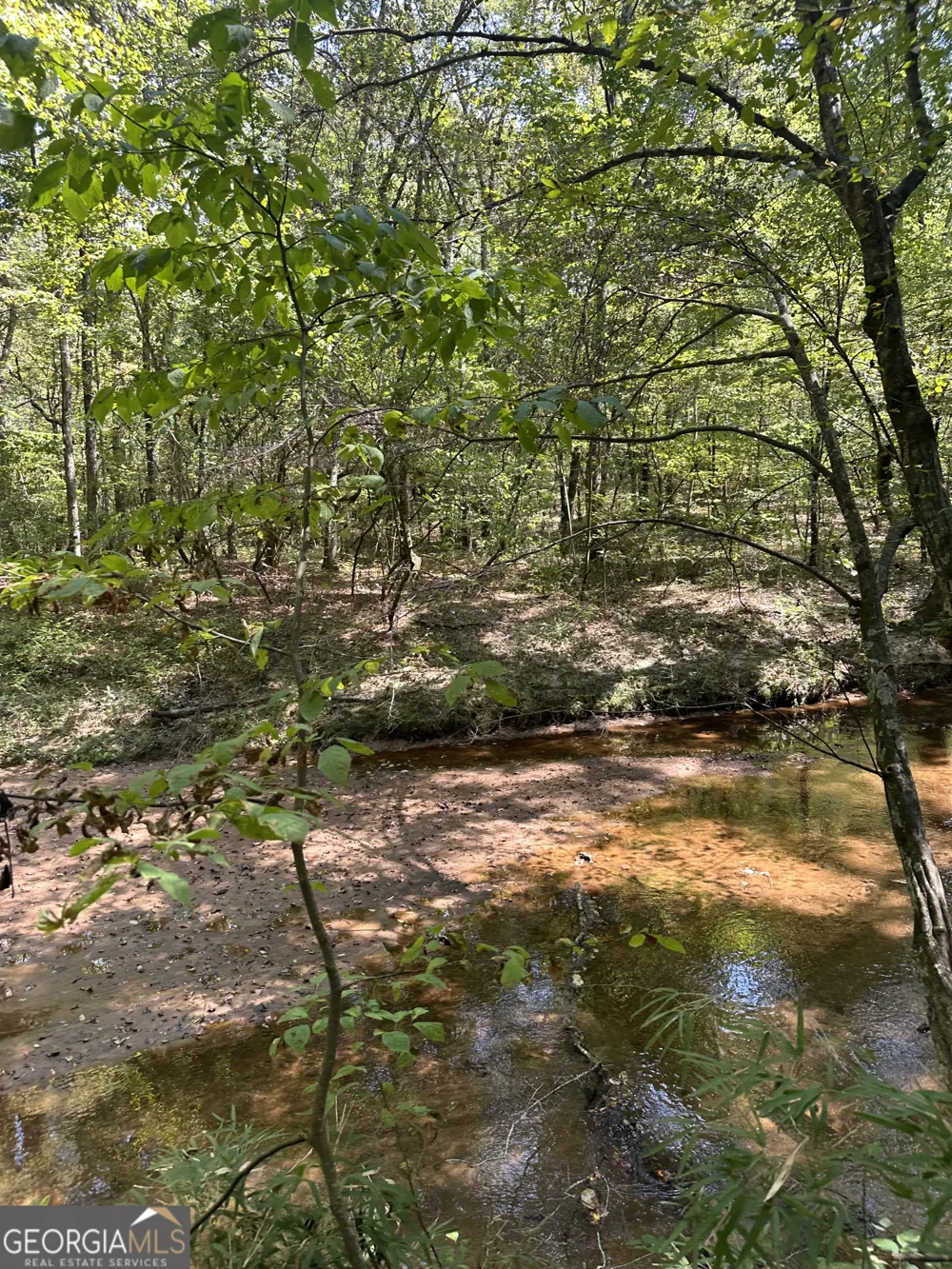 46 Creek RDG Winterville, GA 30683