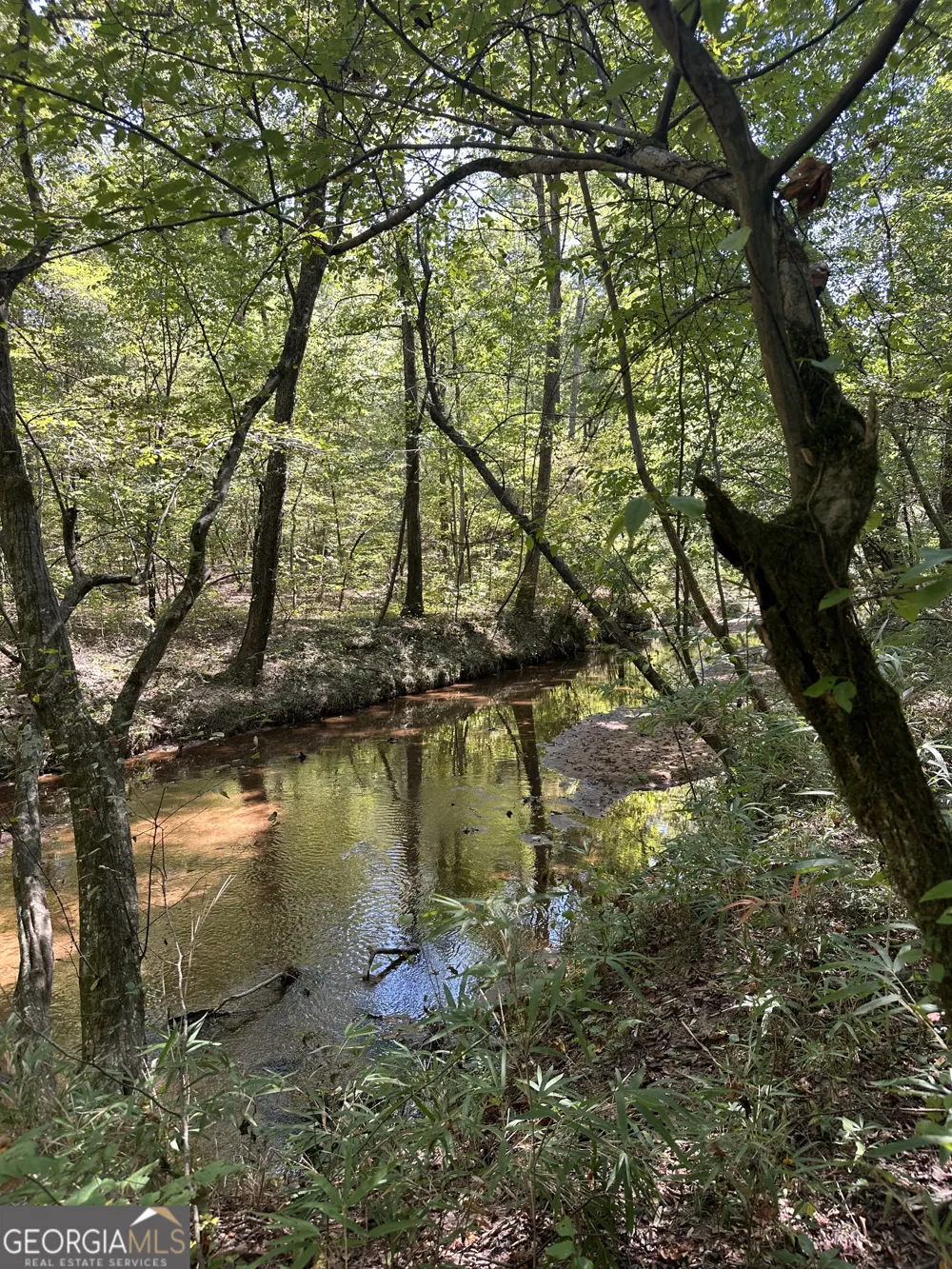46 Creek RDG Winterville, GA 30683