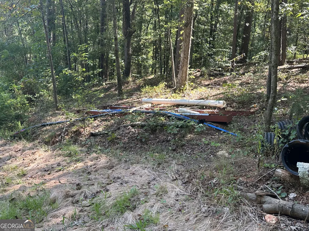 46 Creek RDG Winterville, GA 30683