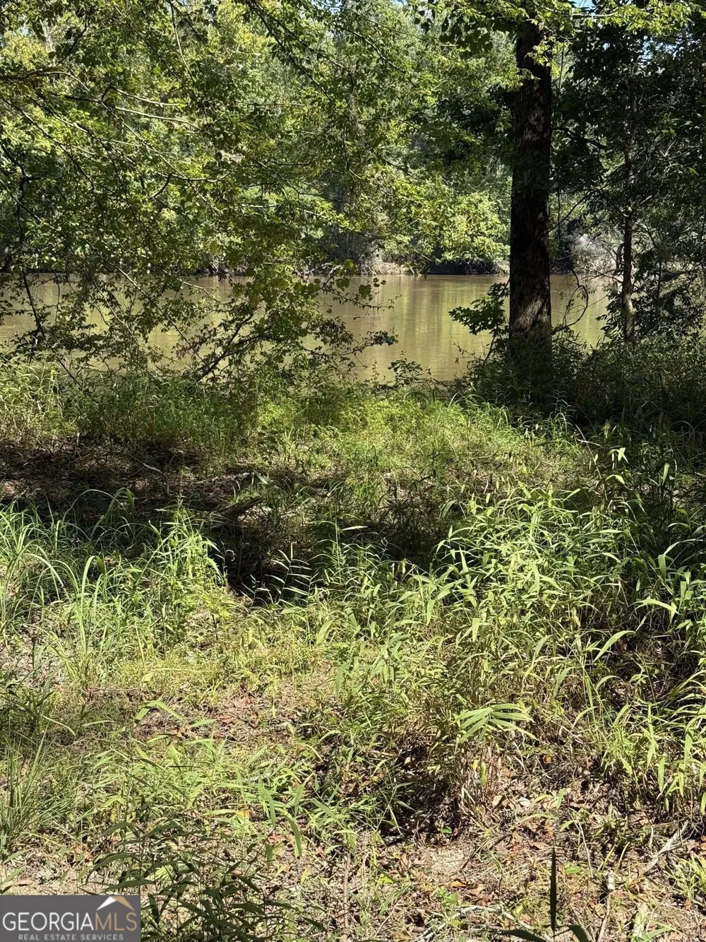 0 Charles LN Springfield, GA 31329
