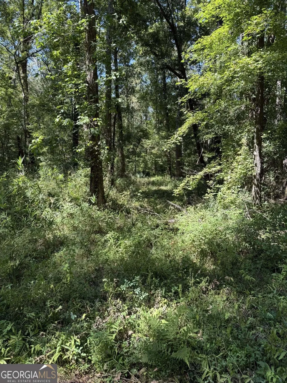 0 Charles LN Springfield, GA 31329