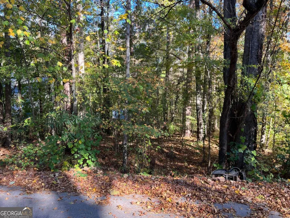 130 Valley DR Stockbridge, GA 30281