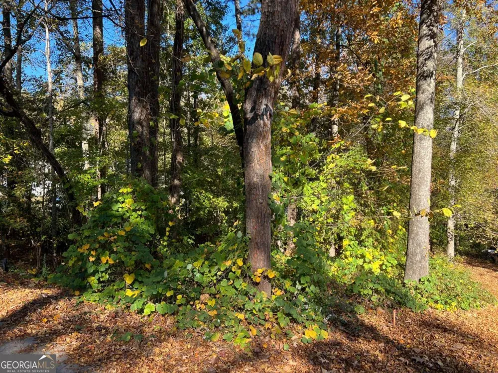 130 Valley DR Stockbridge, GA 30281