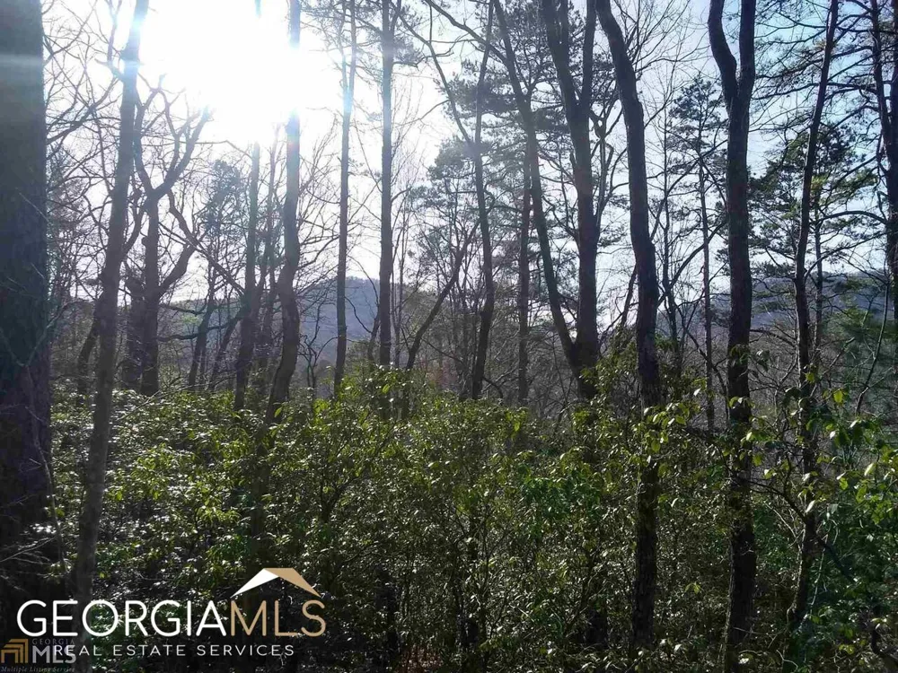 0 Kingwood DR Clayton, GA 30525