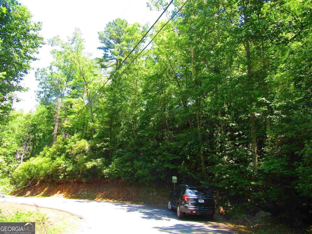 0 Kingwood DR Clayton, GA 30525