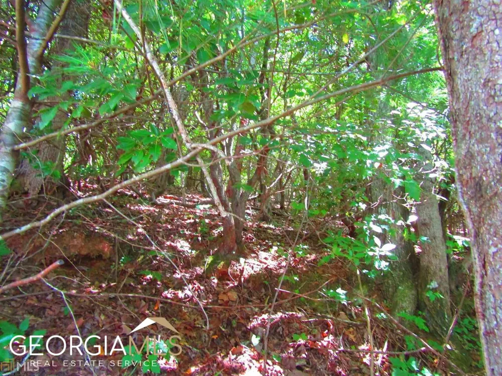 0 Kingwood DR Clayton, GA 30525