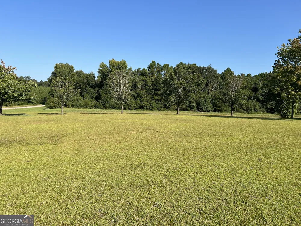 762 Nicholson Carr RD Chester, GA 31012