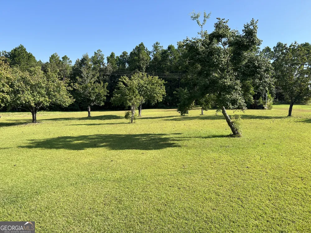 762 Nicholson Carr RD Chester, GA 31012