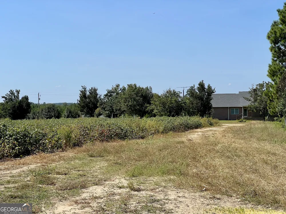 762 Nicholson Carr RD Chester, GA 31012