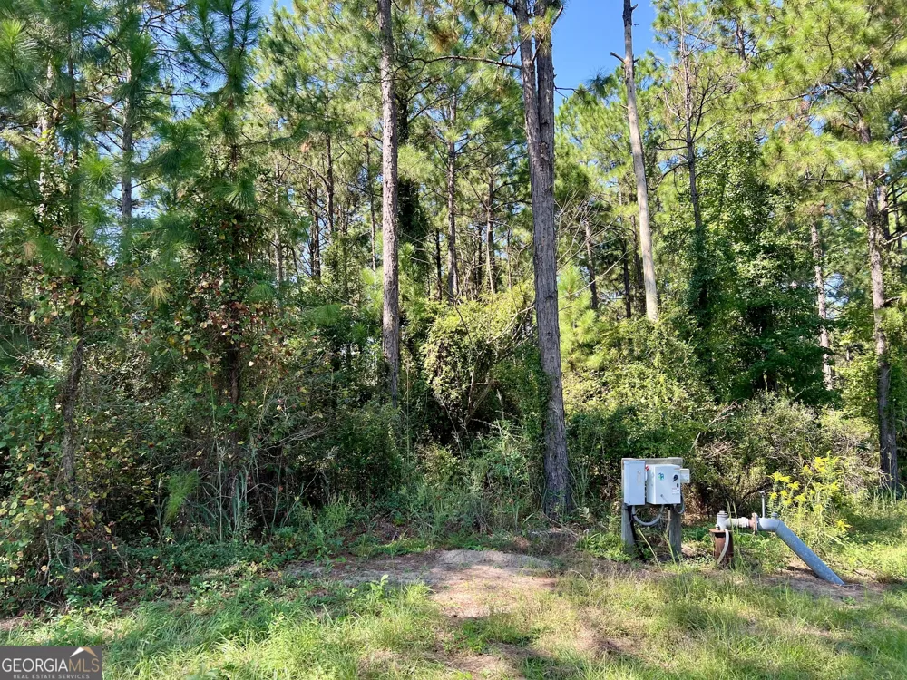 762 Nicholson Carr RD Chester, GA 31012