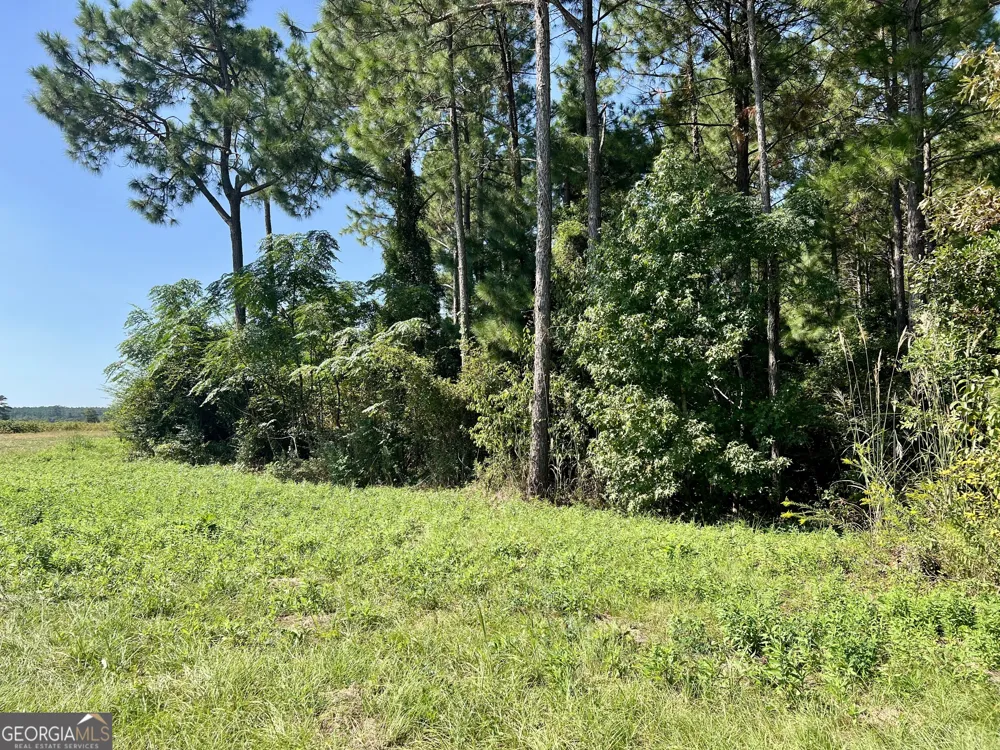 762 Nicholson Carr RD Chester, GA 31012