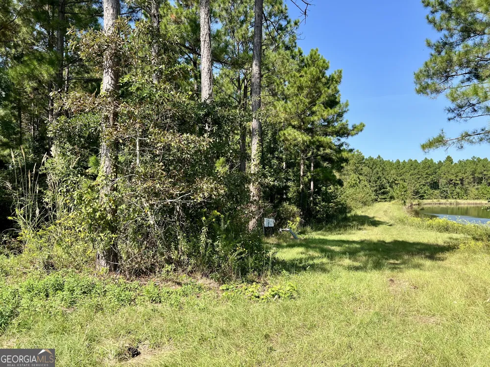 762 Nicholson Carr RD Chester, GA 31012