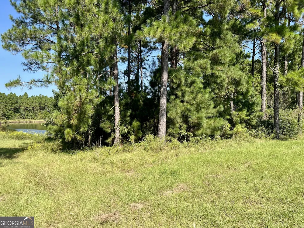 762 Nicholson Carr RD Chester, GA 31012