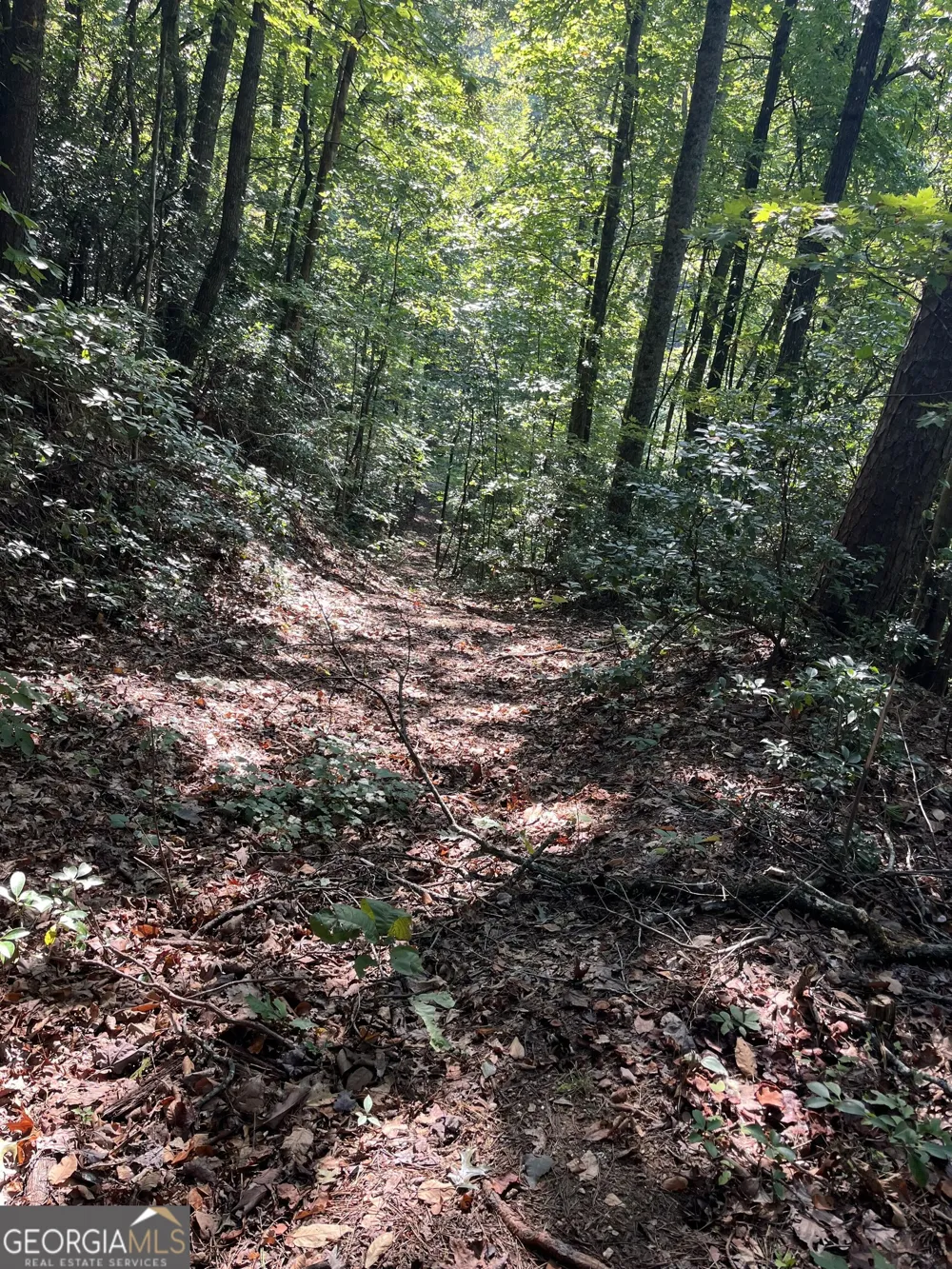 0 Tuckaway LN Clayton, GA 30525