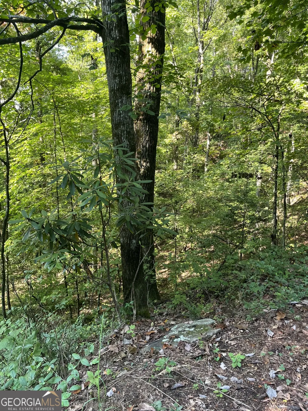 0 Tuckaway LN Clayton, GA 30525