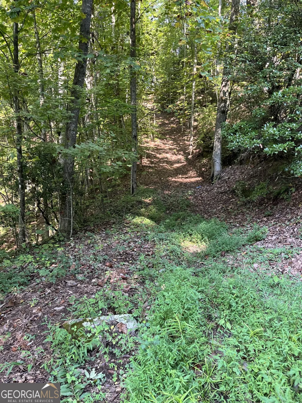 0 Tuckaway LN Clayton, GA 30525