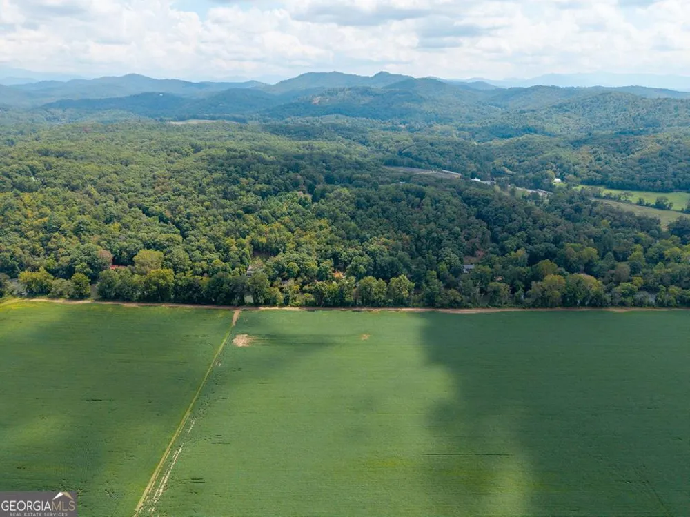 270 Hiawassee River RD Brasstown, NC 28902