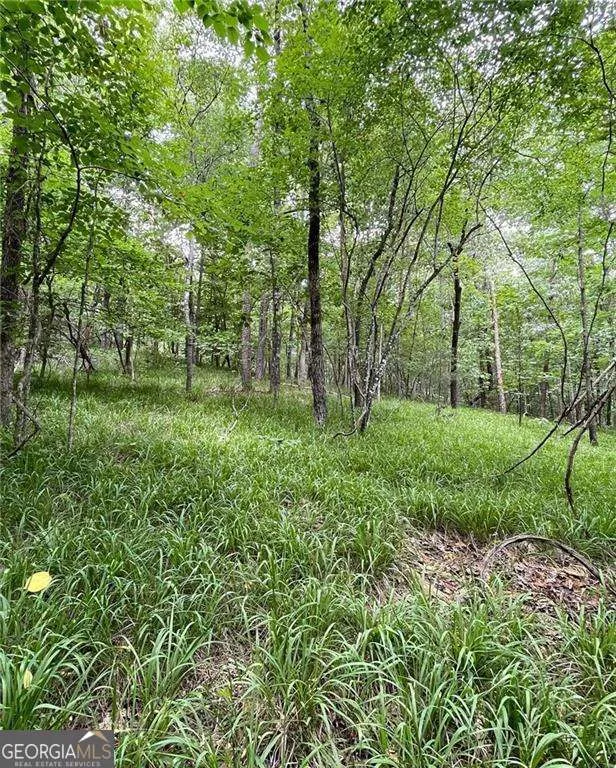 55 Sweetwater WAY Lula, GA 30554