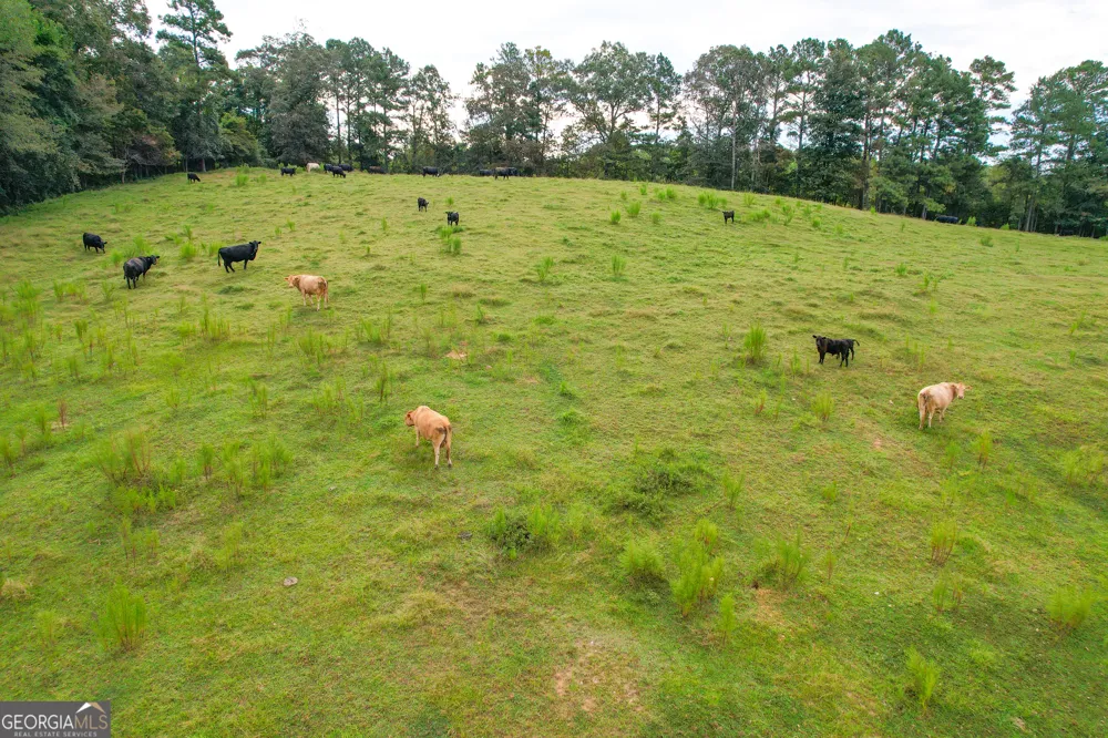 60 +/- Acres at 295 J Davis RD Tallapoosa, GA 30176