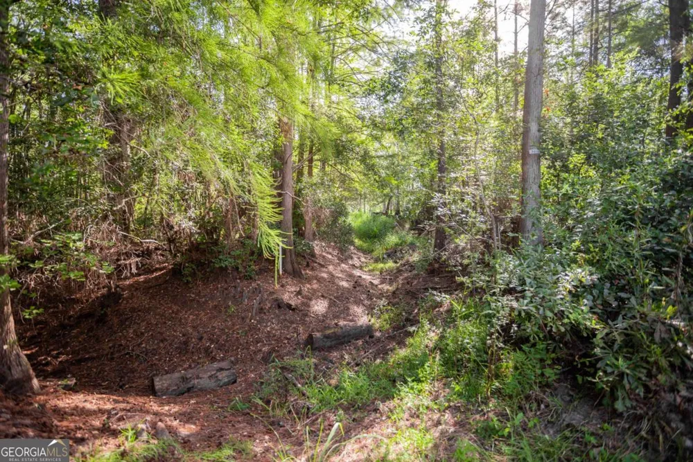 188 Brenda RD Portal, GA 30450