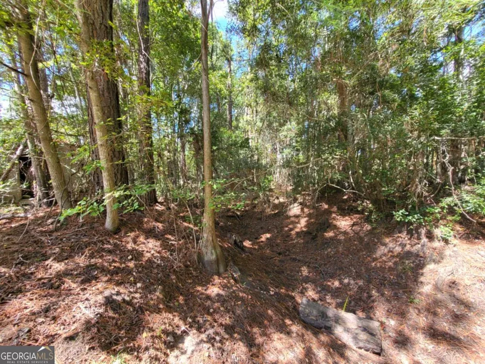 188 Brenda RD Portal, GA 30450